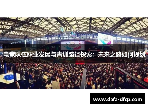 电竞队伍职业发展与青训路径探索:未来之路如何规划